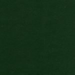 Evergreen Color Swatch